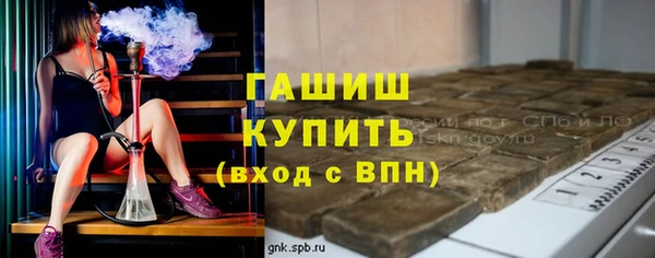 spice Богородицк