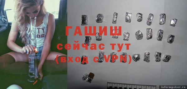 spice Богородицк