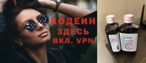 spice Богородицк