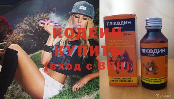 spice Богородицк