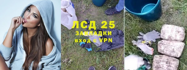 spice Богородицк