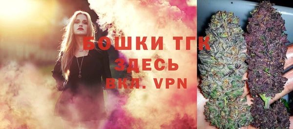 spice Богородицк