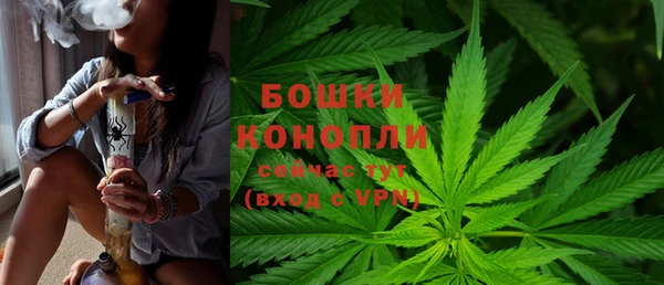 spice Богородицк